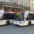 I nuovi bus Tiemme per il bacino di Arezzo - Foto Tiemme